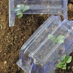 Mini Greenhouse Cloche -GardenJoy Sales Store CLOC V69804 D