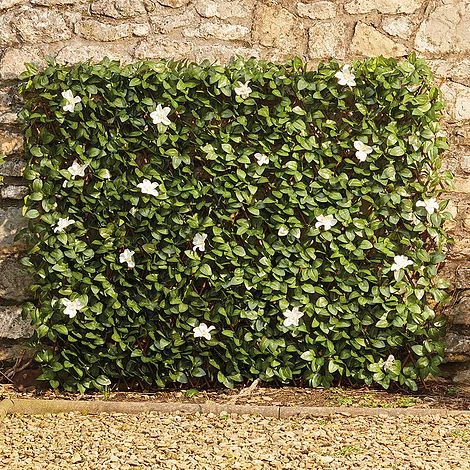 White Flower Hedge Trellis -1x2m 4 White Flower Hedge Trellis -1x2m - Image 2