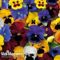 New Release -GardenJoy Sales Store PAN 68090 G