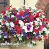Petunia 'Surfinia' Pre-Planted Basket