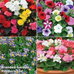 Nurseryman’s Choice Summer Favourites -GardenJoy Sales Store TM 4image nurseryman without watermark