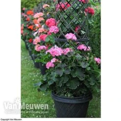 Tower Pot™ Black & Gold 10 Tower Pot™ Black & Gold -GardenJoy Sales Store TOWE V48803P B