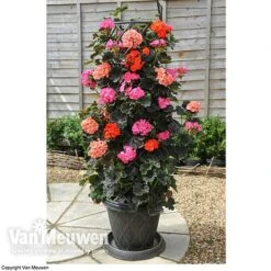 Tower Pot™ Black & Gold 11 Tower Pot™ Black & Gold -GardenJoy Sales Store TOWE V48803P C