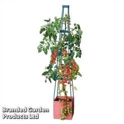 Garden Grow Self Watering 4 Tier Tomato Tower -GardenJoy Sales Store TOWE TOMSELFWA T045925