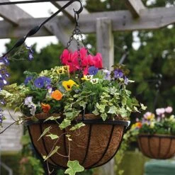Garden Grow Hanging Basket & Liner -GardenJoy Sales Store basket21