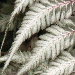 New Release -GardenJoy Sales Store pewter