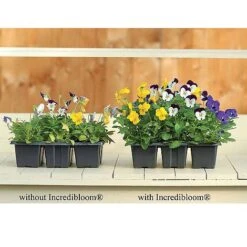 Incredibloom® Fertiliser -GardenJoy Sales Store z INCR T47963 C h