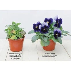 Incredicompost® -GardenJoy Sales Store z INCR T56335 C h