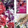 Petunia 'Orchid-Flowered Mixed' F1 Hybrid Success Kit -GardenJoy Sales Store z PETU
