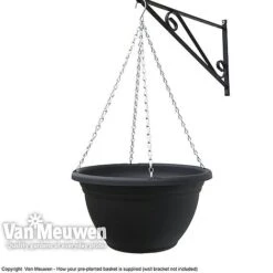 Viola (Ice Babies) 'Teardrops Mixed' (Pre-planted Hanging Basket) -GardenJoy Sales Store z vm pre plantedbasket